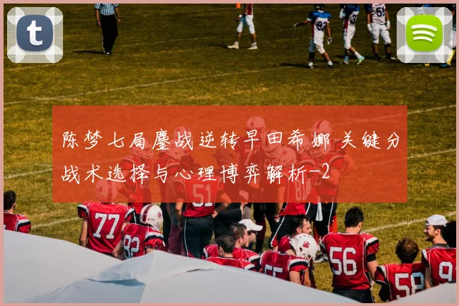 陈梦七局鏖战逆转早田希娜 关键分战术选择与心理博弈解析